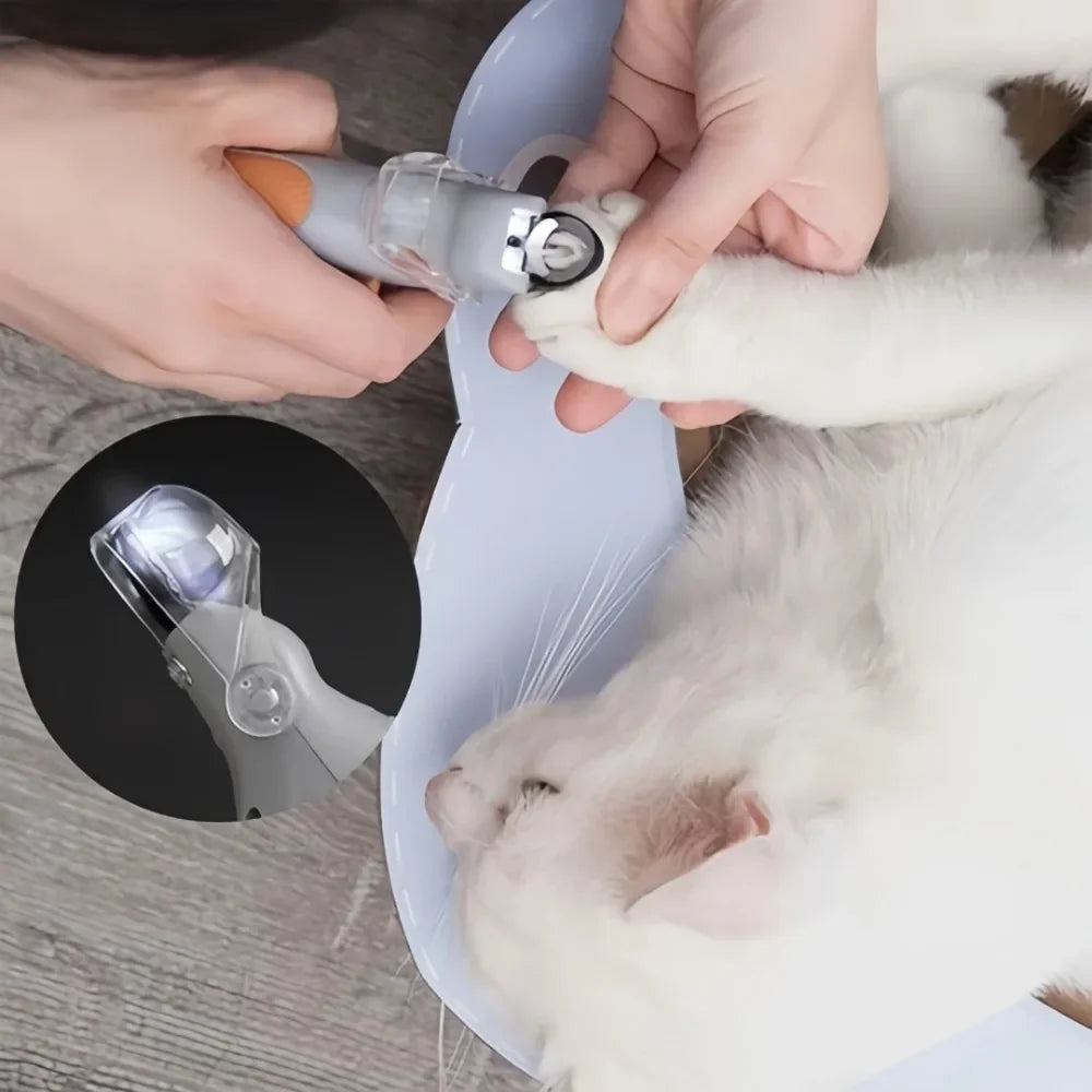 Stainless Steel Pet Nail Clipper With Clear Led Bloodline Indicator